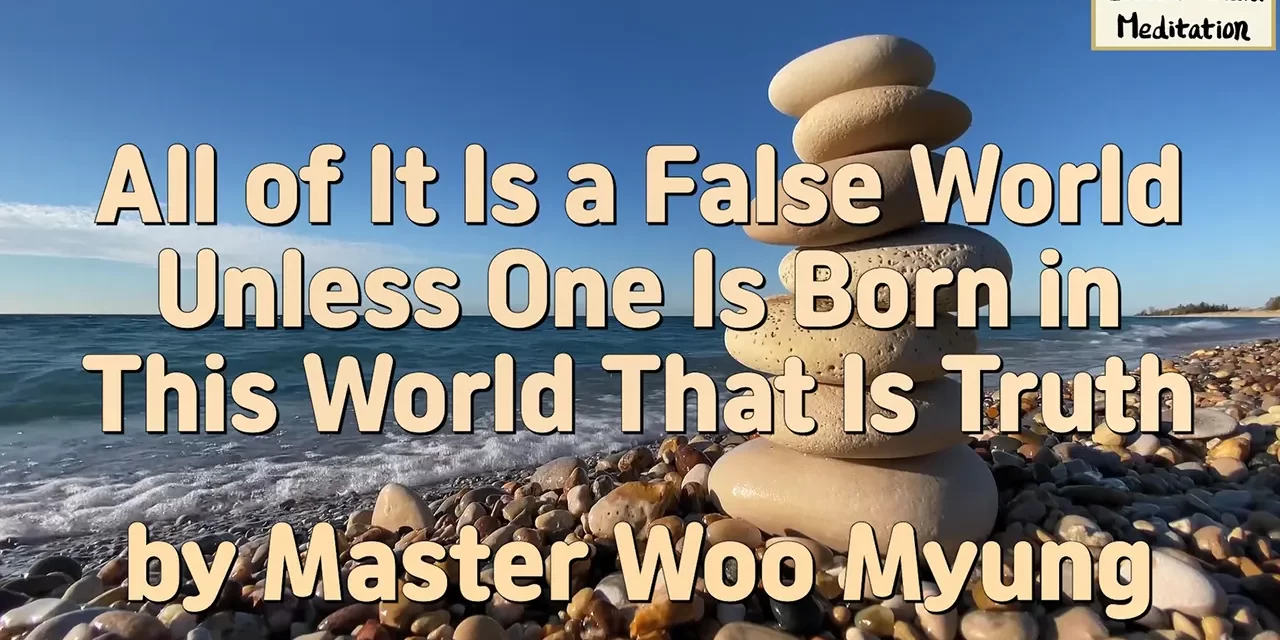 🌏 All of It Is a False World Unless One Is Born in This World That Is Truth | Master Woo Myung | Santa Clara Meditation