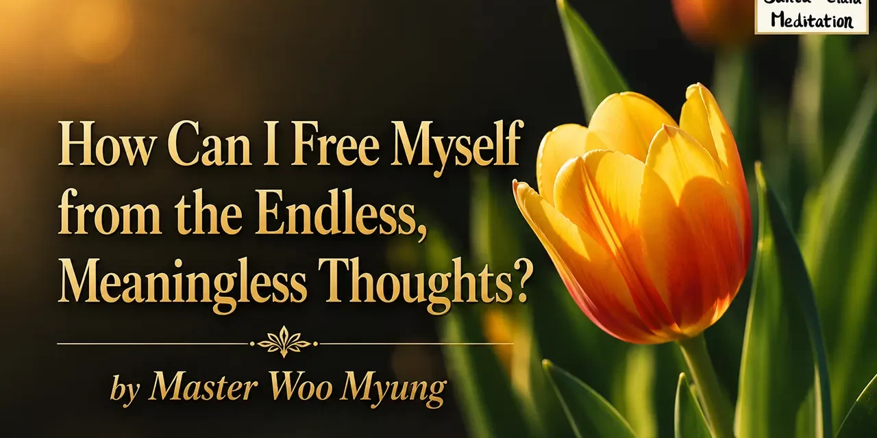 π§ How Can I Free Myself from the Endless, Meaningless Thoughts? | Master Woo Myung | Santa Clara Meditation