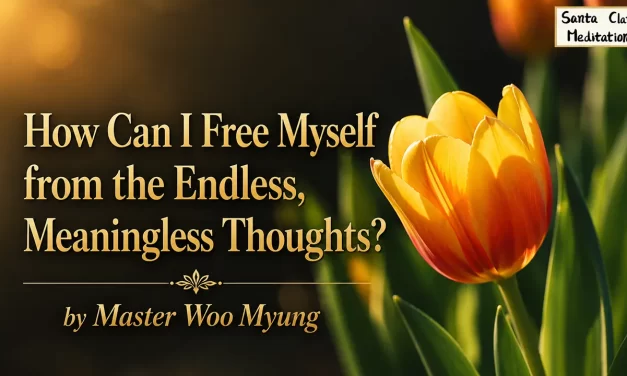 🧘 How Can I Free Myself from the Endless, Meaningless Thoughts? | Master Woo Myung | Santa Clara Meditation