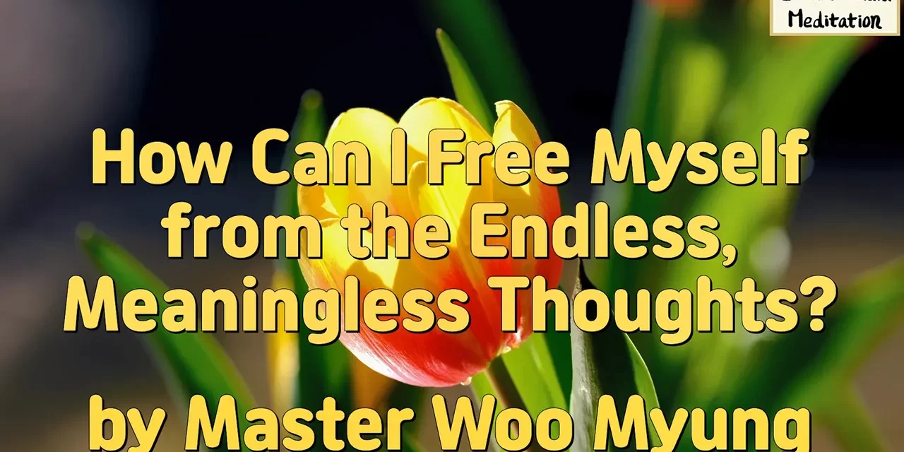 🧘 How Can I Free Myself from the Endless, Meaningless Thoughts? | Master Woo Myung | Santa Clara Meditation
