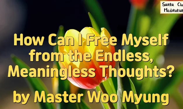 🧘 How Can I Free Myself from the Endless, Meaningless Thoughts? | Master Woo Myung | Santa Clara Meditation
