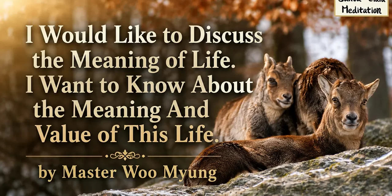 π I Would Like to Discuss the Meaning of Life. I Want to Know About the Meaning And Value of This Life. | Master Woo Myung | Santa Clara Meditation