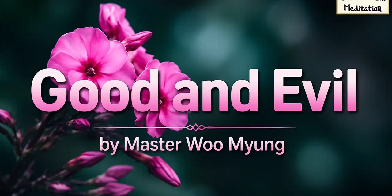 ☯️ Good and Evil: What Truly Defines Them | Master Woo Myung | Santa Clara Meditation