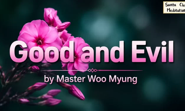 ☯️ Good and Evil: What Truly Defines Them | Master Woo Myung | Santa Clara Meditation