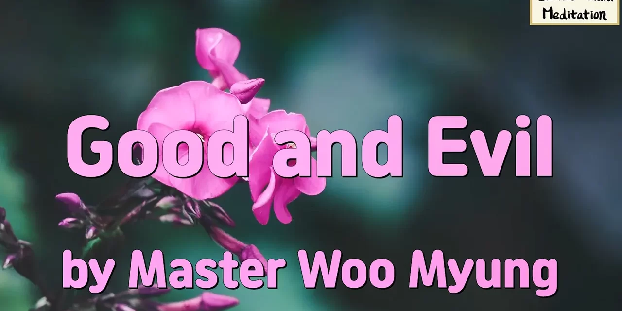 ☯️ Good and Evil: What Truly Defines Them | Master Woo Myung | Santa Clara Meditation
