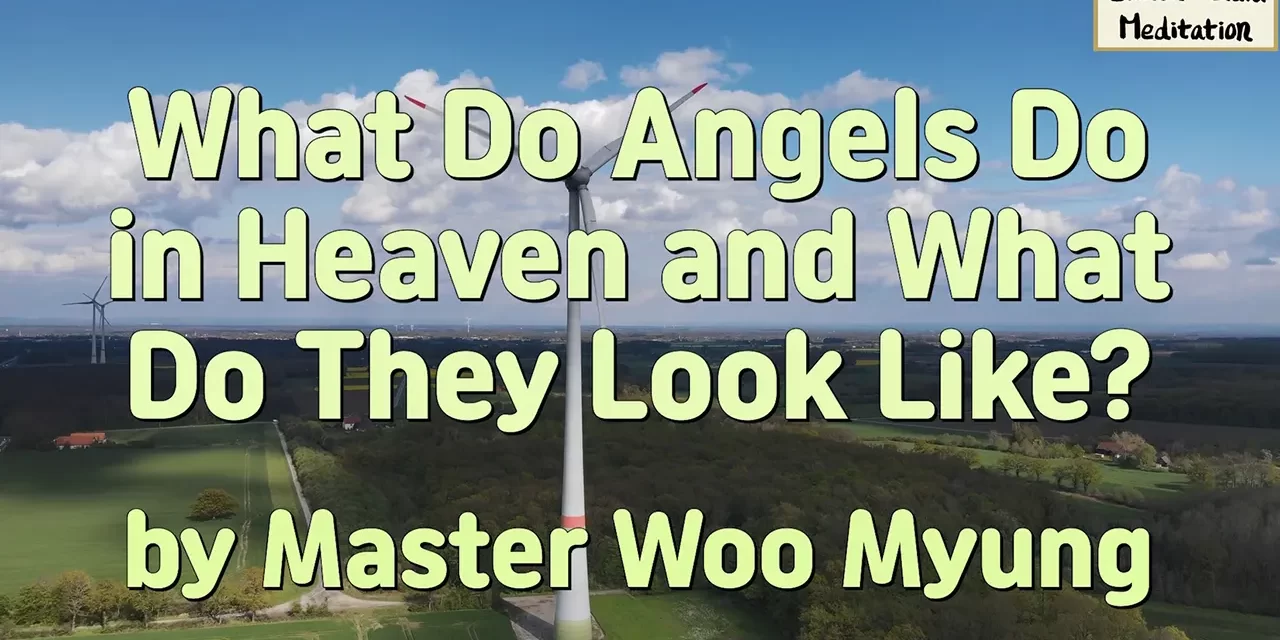 👼 What Do Angels Do in Heaven and What Do They Look Like? | Master Woo Myung | Santa Clara Meditation