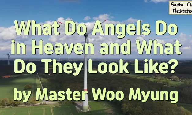 👼 What Do Angels Do in Heaven and What Do They Look Like? | Master Woo Myung | Santa Clara Meditation