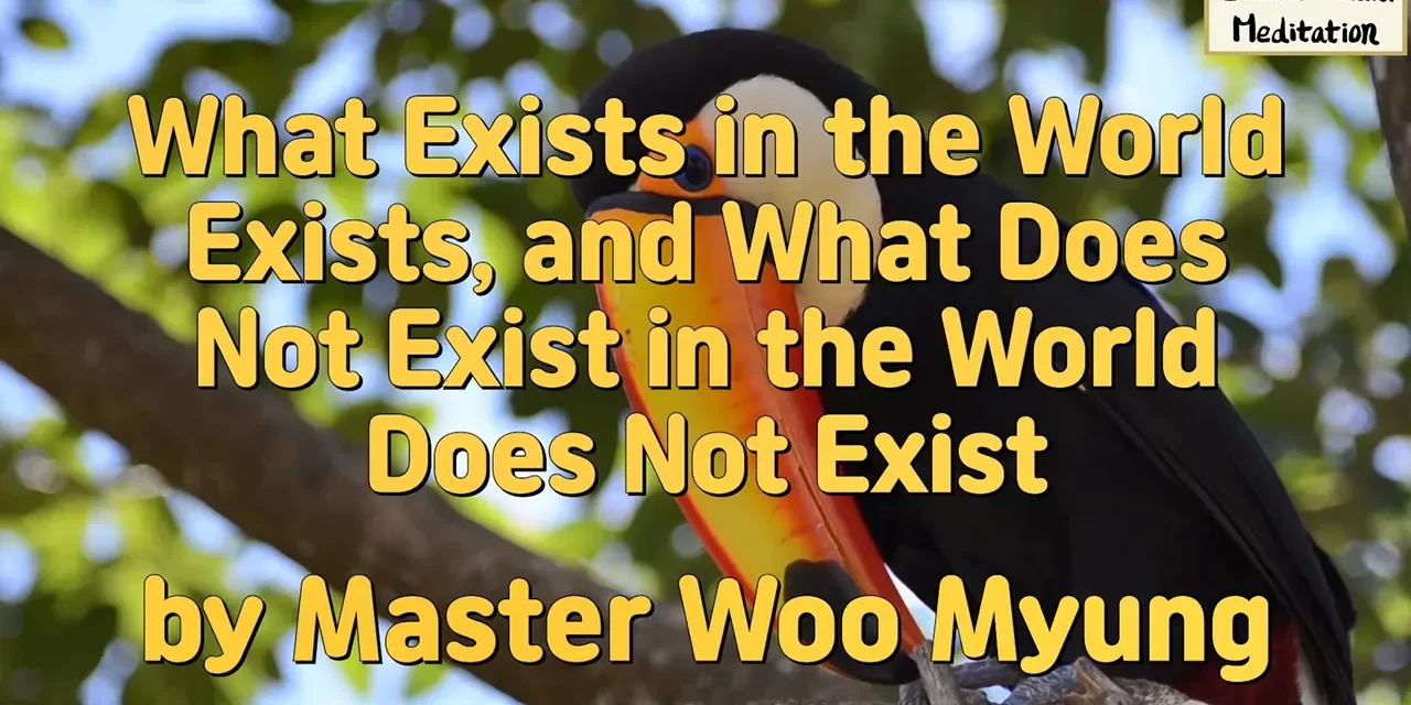 🌐 What Exists in the World Exists, and What Does Not Exist in the World Does Not Exis | Master Woo Myung