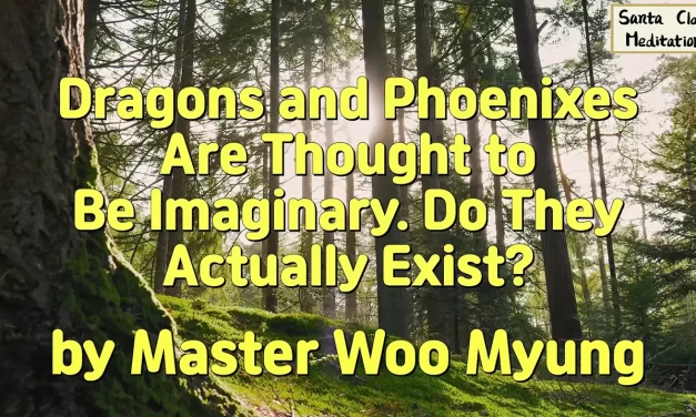 🐉 Dragons and Phoenixes Are Thought to Be Imaginary. Do They Actually Exist? | Master Woo Myung