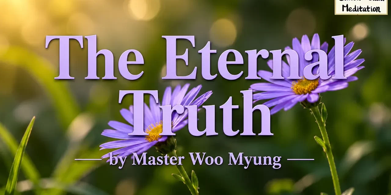 π The Eternal Truth: Pure Emptiness and Wondrous Existence β Master Woo Myung | Santa Clara Meditation