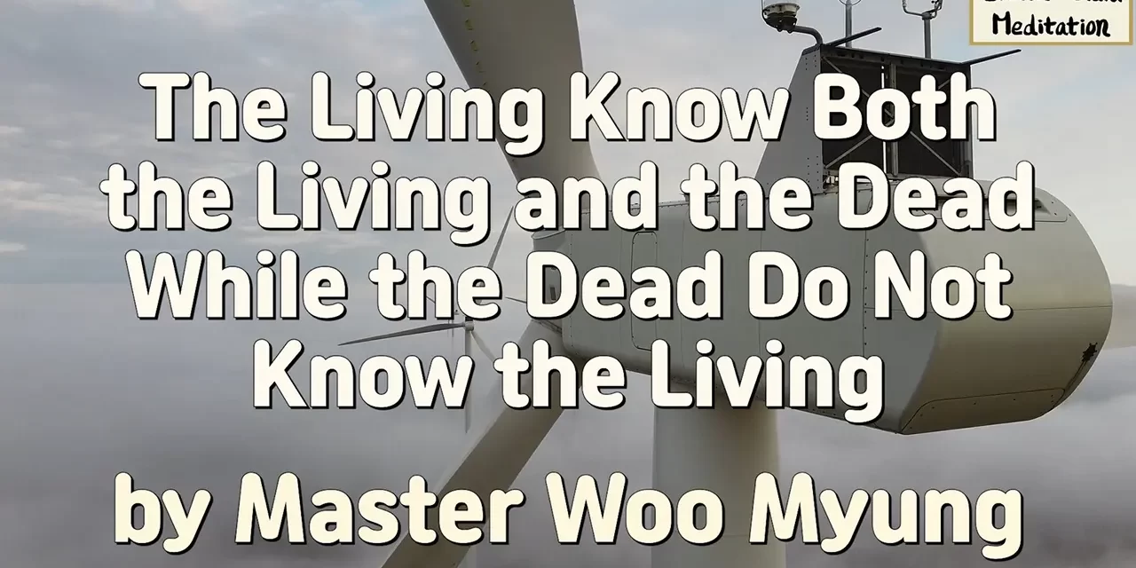 🌞 The Living Know Both the Living and the Dead While the Dead Do Not Know the Living | Master Woo Myung