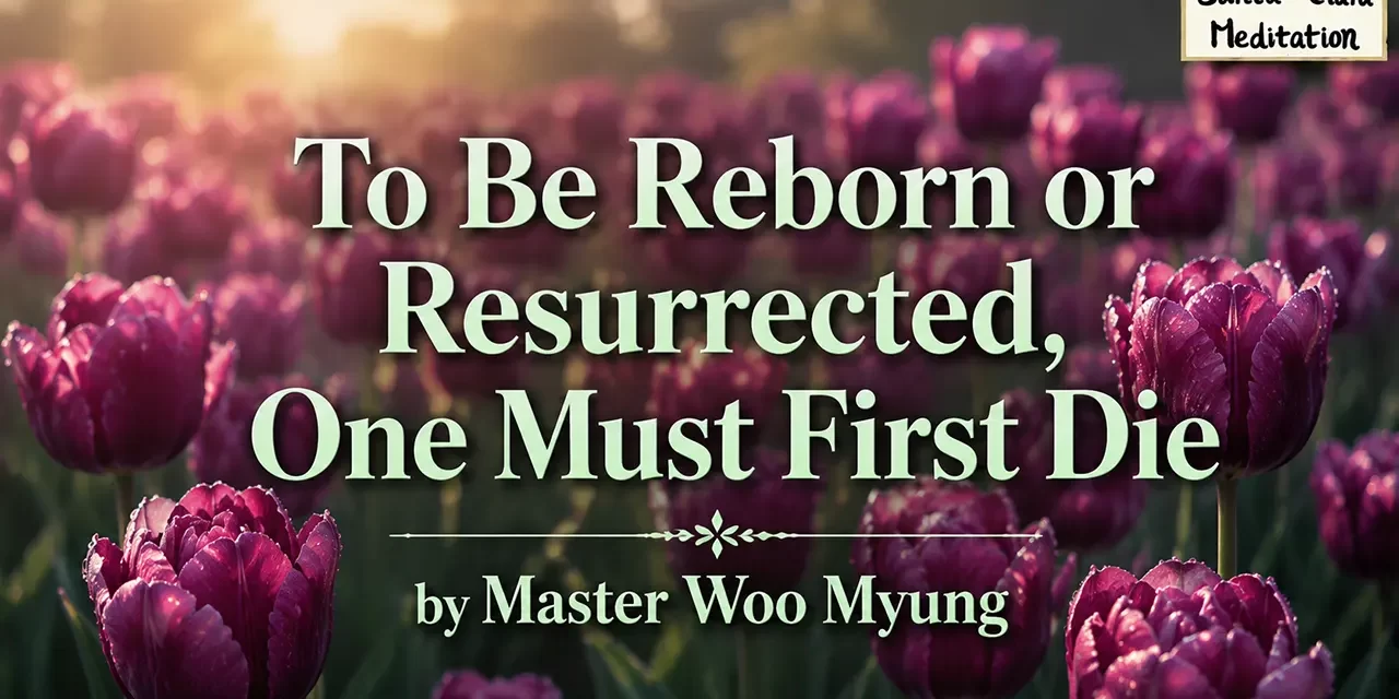⚰️ To Be Reborn or Resurrected, One Must First Die | Master Woo Myung | Santa Clara Meditation