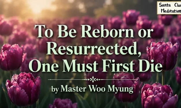⚰️ To Be Reborn or Resurrected, One Must First Die | Master Woo Myung | Santa Clara Meditation