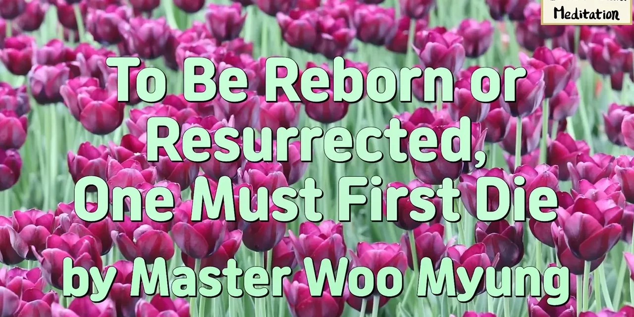 ⚰️ To Be Reborn or Resurrected, One Must First Die | Master Woo Myung | Santa Clara Meditation
