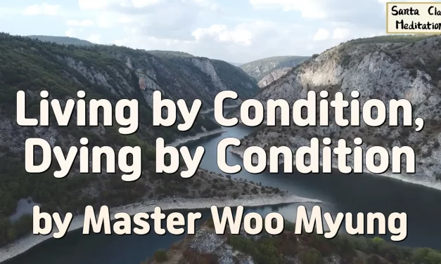 🌊 Living by Condition, Dying by Condition – Master Woo Myung | Santa Clara Meditation