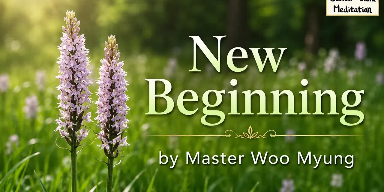 🌅 New Beginning: The True Meaning of Gae-byuk and the Rebirth of the Universe | Master Woo Myung