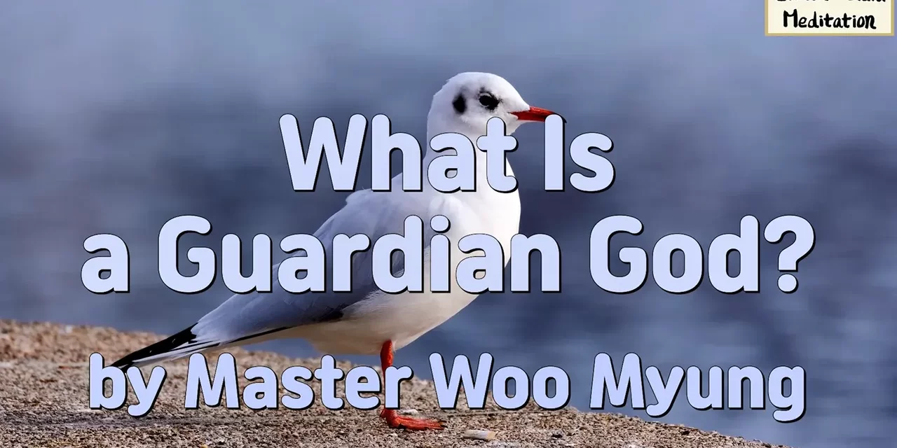 🛡️ What Is a Guardian God? | Master Woo Myung | Santa Clara Meditation