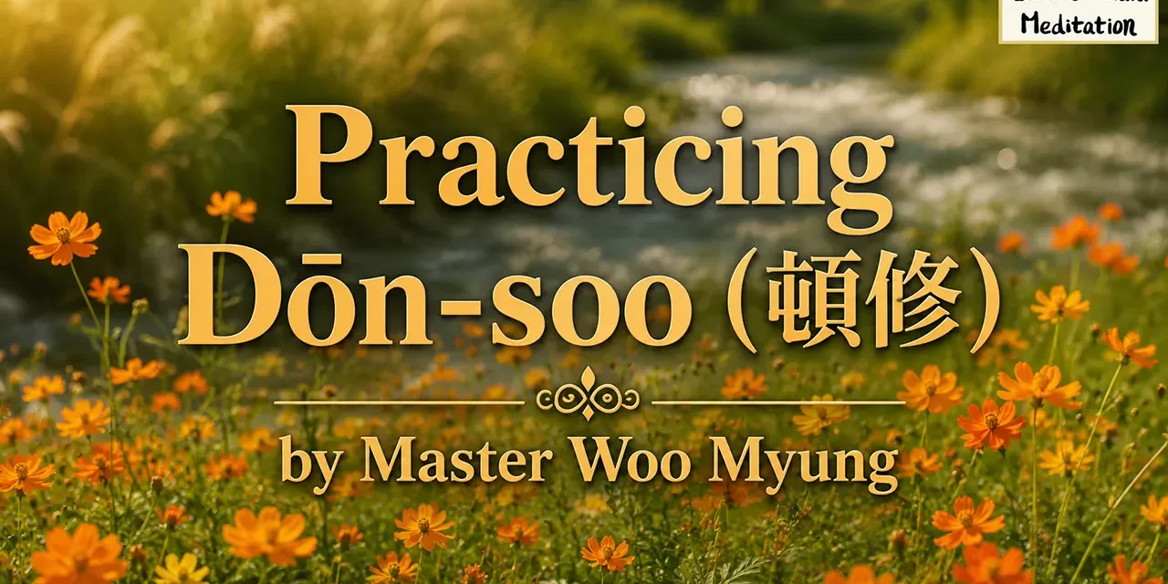 ๐ Practicing Dลn-soo: Maintaining Enlightenment โ Master Woo Myung | Santa Clara Meditation