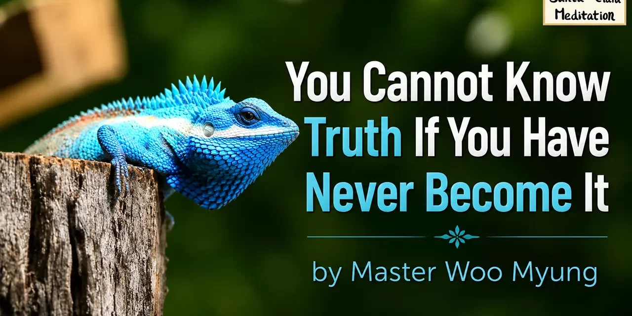 🌌 You Cannot Know Truth If You Have Never Become It | Master Woo Myung | Santa Clara Meditation