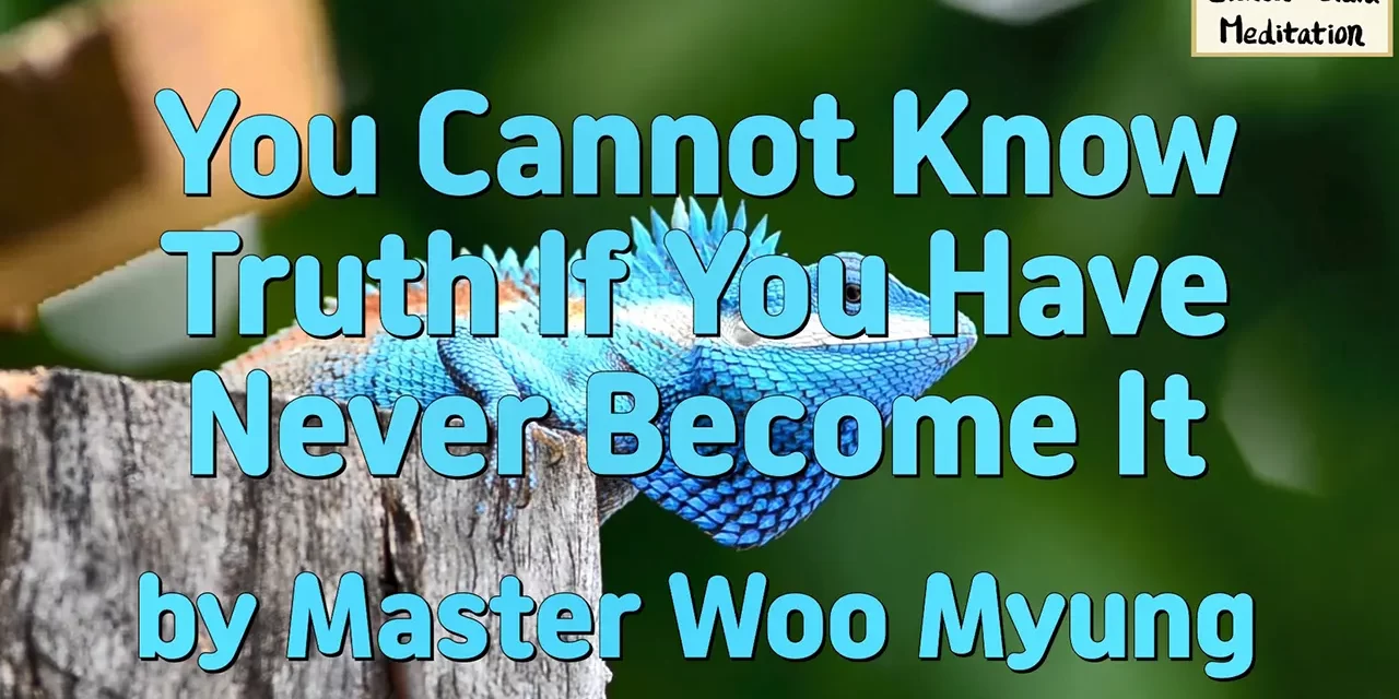 🌌 You Cannot Know Truth If You Have Never Become It | Master Woo Myung | Santa Clara Meditation