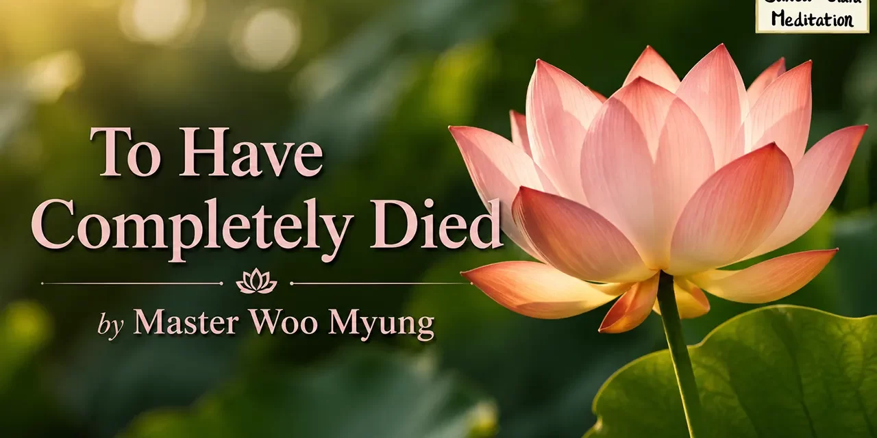 ποΈ To Have Completely Died: Eliminate the False Self and Be Reborn as Truth | Master Woo Myung | Santa Clara Meditation