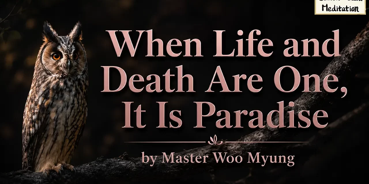 π
When Life and Death Are One, It Is Paradise | Master Woo Myung | Santa Clara Meditation