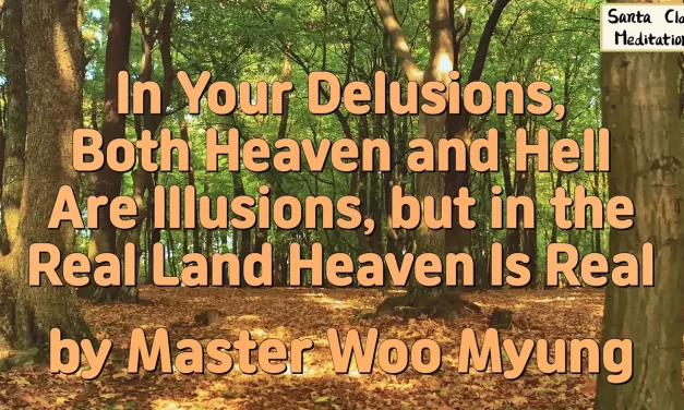🌤️ In Your Delusions, Both Heaven and Hell Are Illusions, but in the Real Land Heaven Is Real | Master Woo Myung