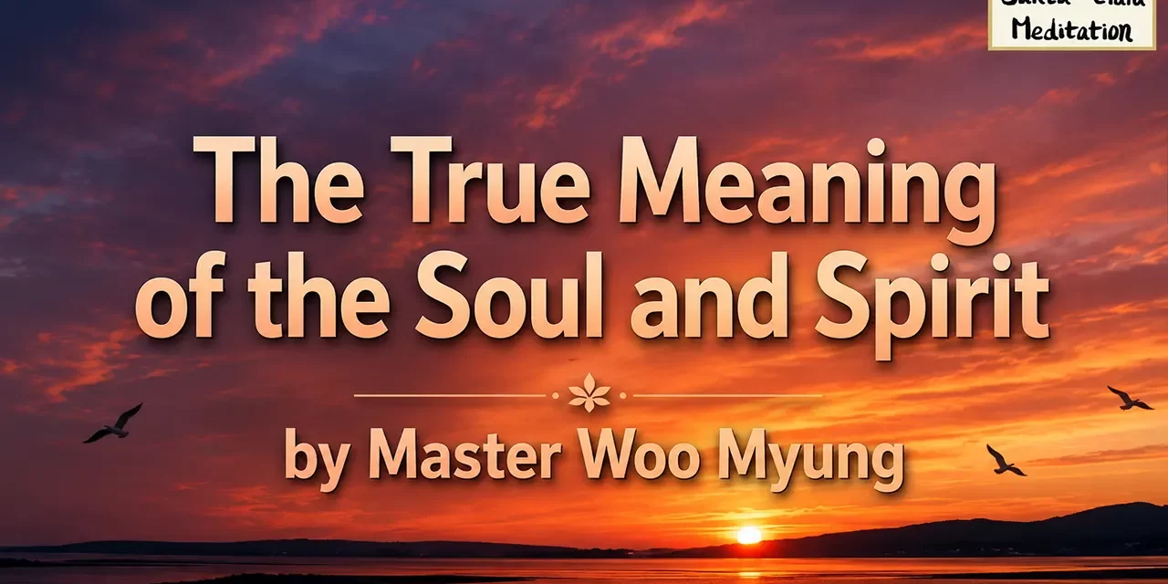✨ The True Meaning of the Soul and Spirit | Master Woo Myung | Santa Clara Meditation