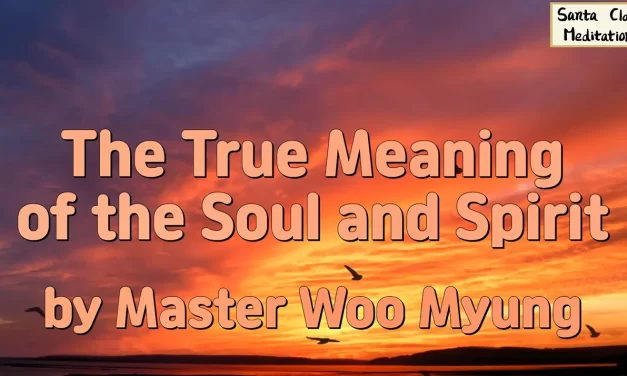 ✨ The True Meaning of the Soul and Spirit | Master Woo Myung | Santa Clara Meditation