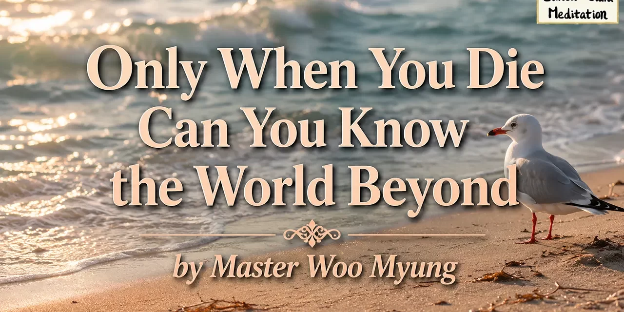 🌌 Only When You Die Can You Know the World Beyond | Master Woo Myung | Santa Clara Meditation