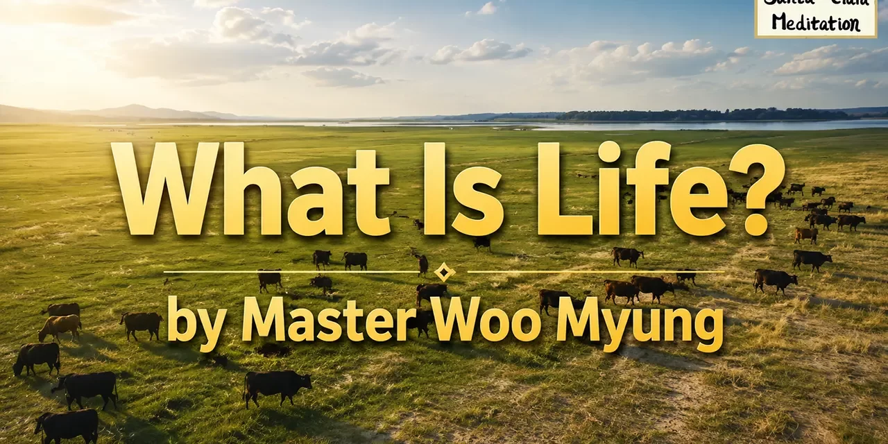 🌾 What Is Life?: The Duality of Existence | Master Woo Myung | Santa Clara Meditation