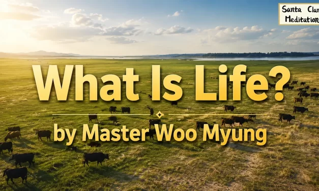 🌾 What Is Life?: The Duality of Existence | Master Woo Myung | Santa Clara Meditation