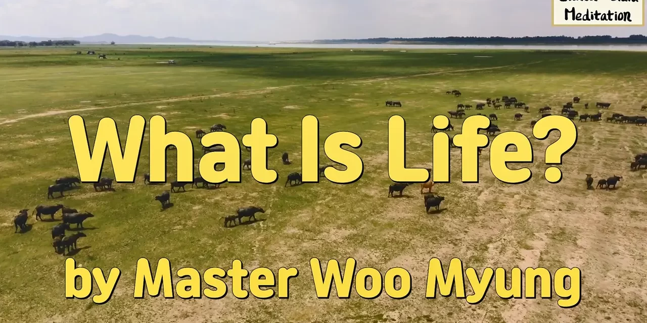 🌾 What Is Life?: The Duality of Existence | Master Woo Myung | Santa Clara Meditation