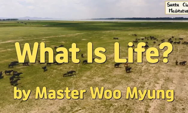 🌾 What Is Life?: The Duality of Existence | Master Woo Myung | Santa Clara Meditation