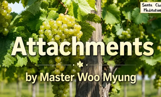🪢 Attachments: The Cause of Loss | Master Woo Myung | Santa Clara Meditation