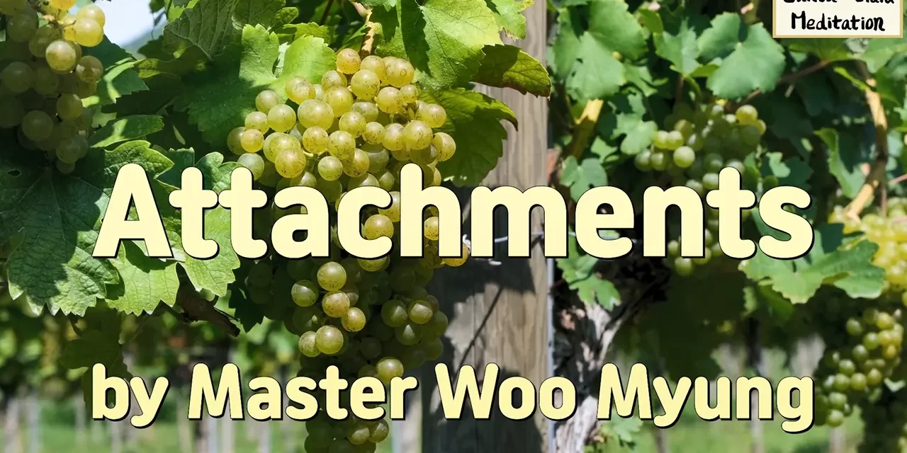 🪢 Attachments: The Cause of Loss | Master Woo Myung | Santa Clara Meditation
