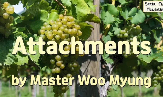 🪢 Attachments: The Cause of Loss | Master Woo Myung | Santa Clara Meditation