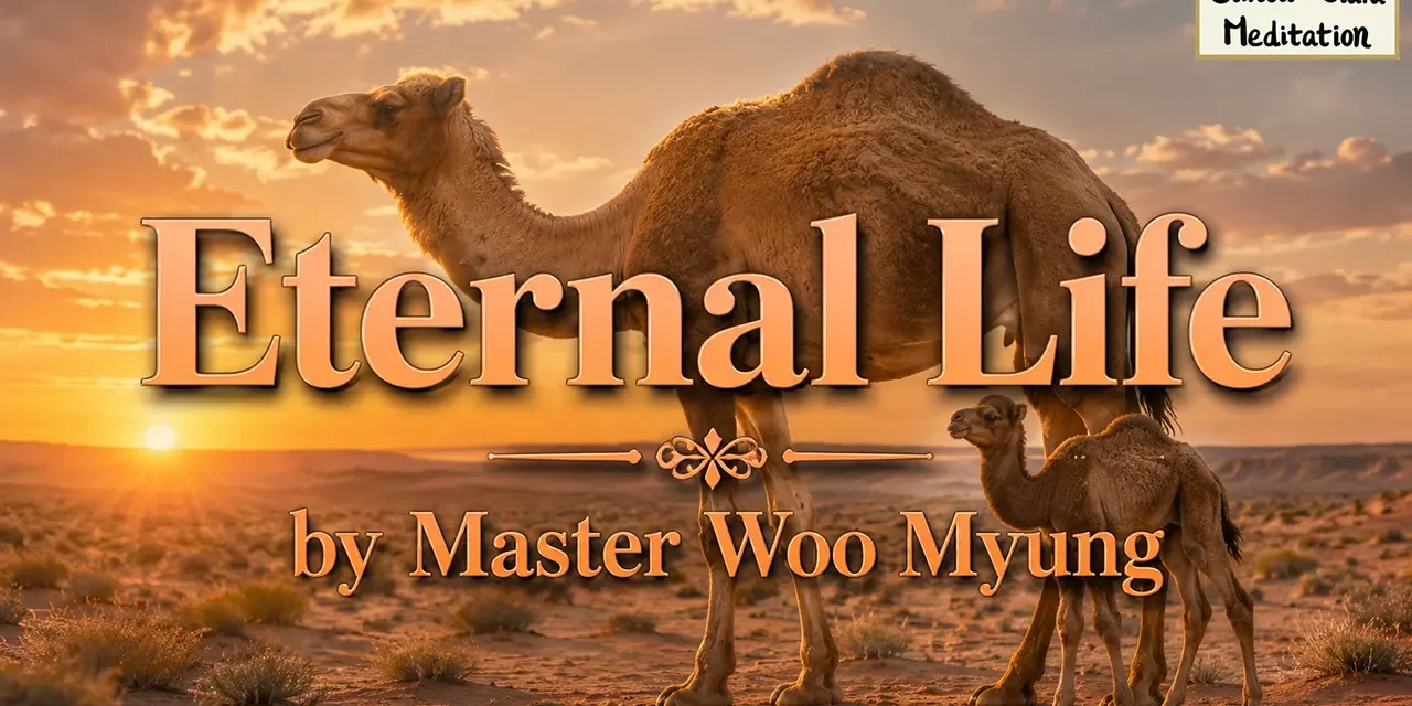 🌅 Eternal Life: Rebirth in the Land of Truth | Master Woo Myung | Santa Clara Meditation