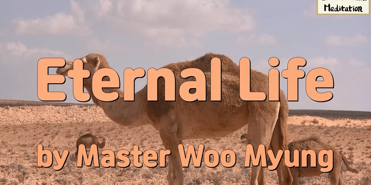 🌅 Eternal Life: Rebirth in the Land of Truth | Master Woo Myung | Santa Clara Meditation