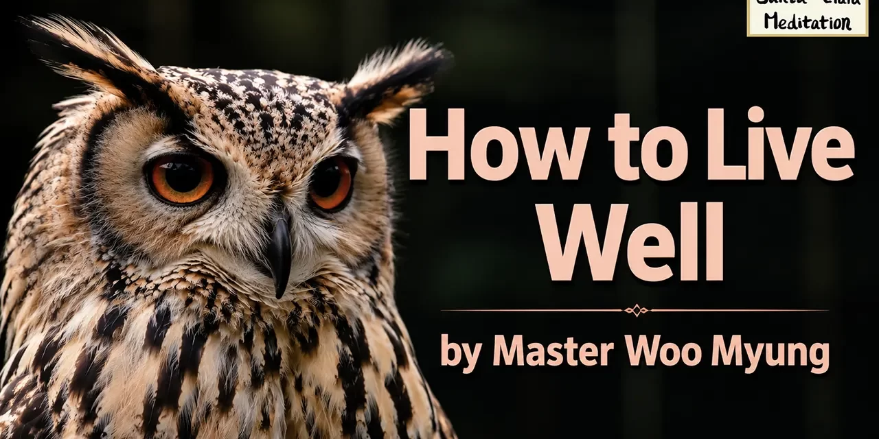 ๐ผ How to Live Well: Life in Truth and Emptiness โ Master Woo Myung | Santa Clara Meditation