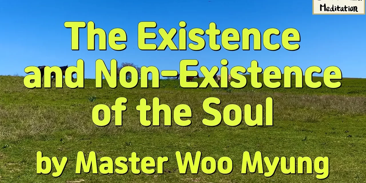 🌌 The Existence and Non-Existence of the Soul – Master Woo Myung | Santa Clara Meditation