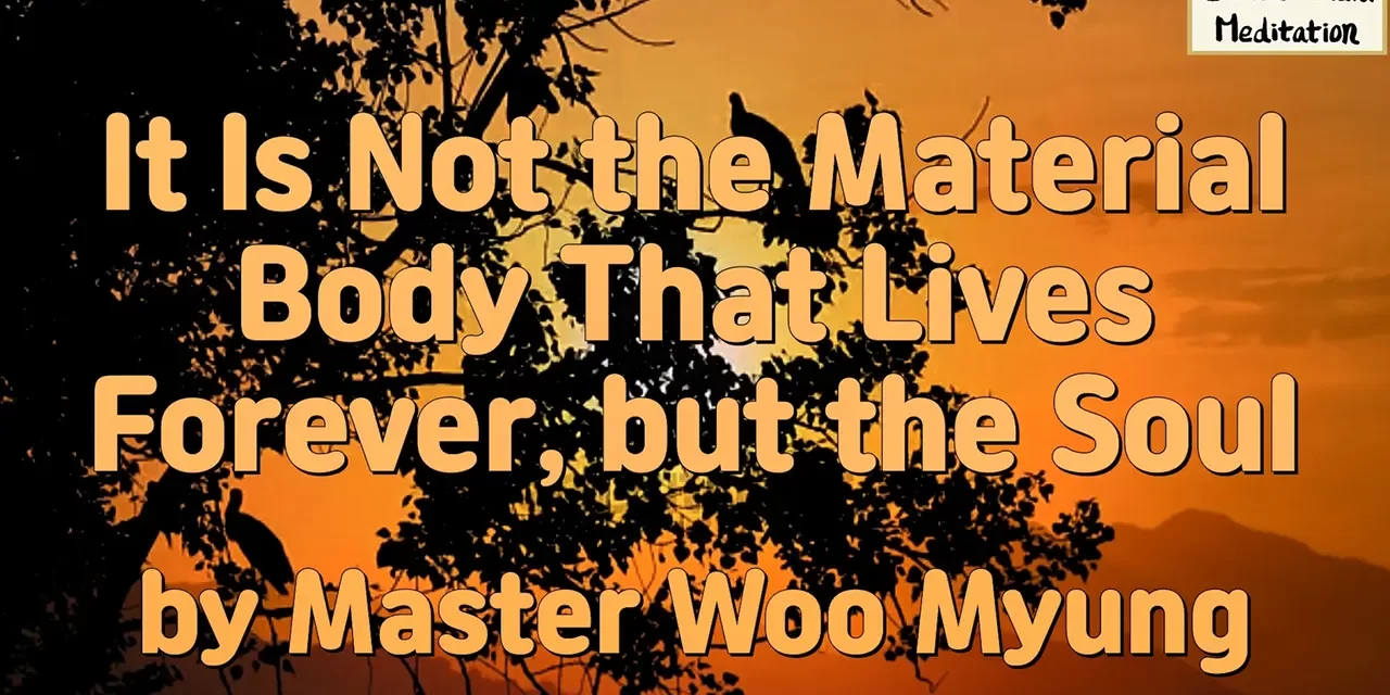 🌠 It Is Not the Material Body That Lives Forever, but the Soul – Master Woo Myung | Santa Clara Meditation