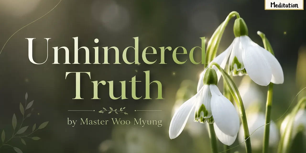 🌤️ Unhindered Truth: How to Stand in Truth | Master Woo Myung | Santa Clara Meditation
