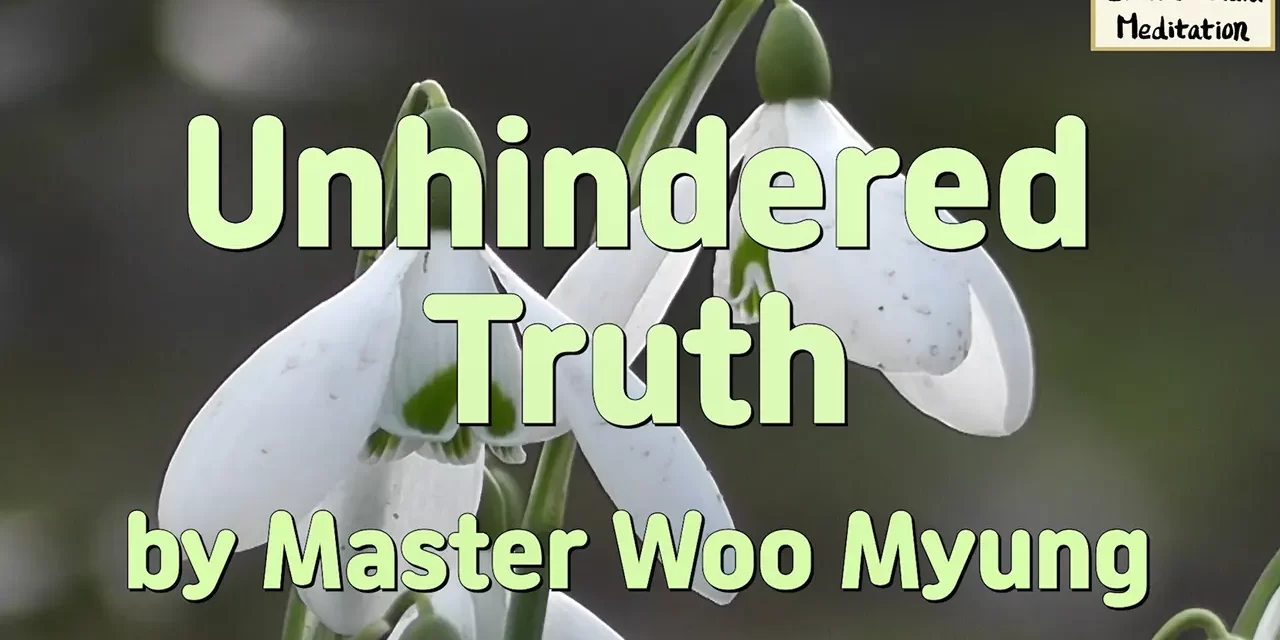 🌤️ Unhindered Truth: How to Stand in Truth | Master Woo Myung | Santa Clara Meditation