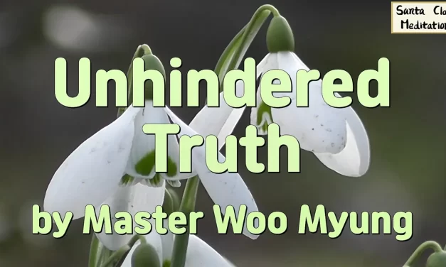 🌤️ Unhindered Truth: How to Stand in Truth | Master Woo Myung | Santa Clara Meditation