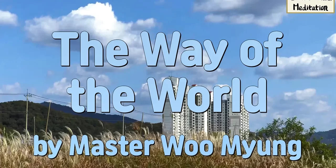 🌌 The Way of the World: Returning to the Origin – Master Woo Myung | Santa Clara Meditation