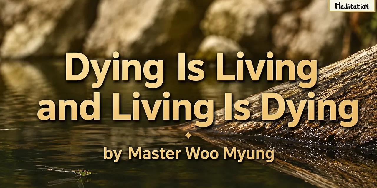 ๐
Dying Is Living and Living Is Dying | Master Woo Myung | Santa Clara Meditation