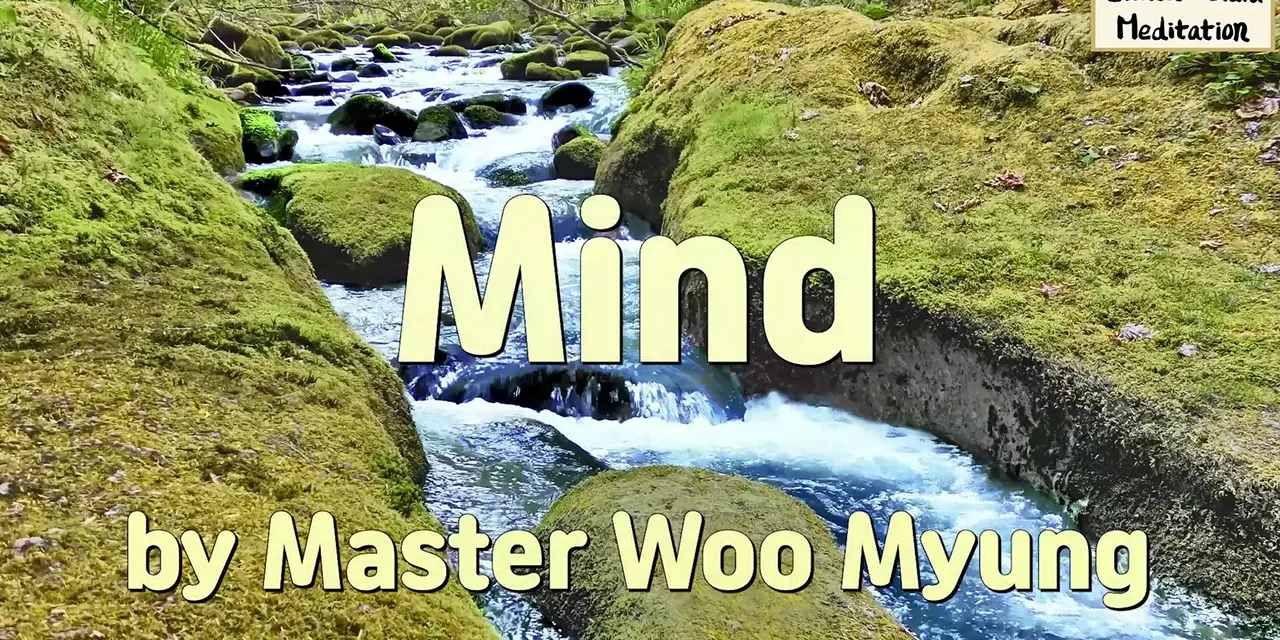 🌀 Mind: Returning to the Flow of Nature | Master Woo Myung | Santa Clara Meditation