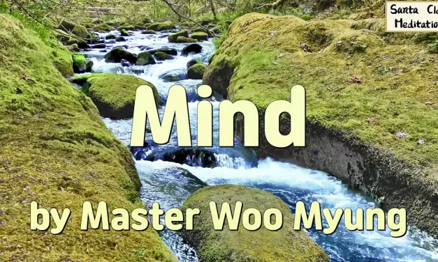 🌀 Mind: Returning to the Flow of Nature | Master Woo Myung | Santa Clara Meditation