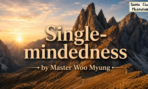 🎯 Single-mindedness: Acting Without Hesitation – Master Woo Myung | Santa Clara Meditation